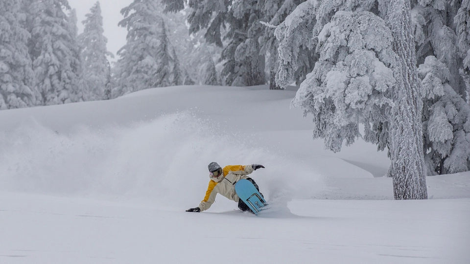 Snowboarder in powder during the 2023/24 season at Mt. Bachelor. 